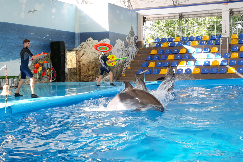 Дельфинарий «Немо» в Коблево